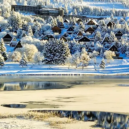 Au Pied Des Pistes Avec Garage Prive - Fr-1-814-13