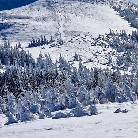 Au Pied Des Pistes Avec Garage Privé - Fr-1-814-13 Appartement Super-Besse