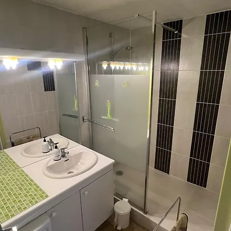 Au Pied Des Pistes Avec Garage Prive - Fr-1-814-13 アパート ベス・エ・サンタナステーズ