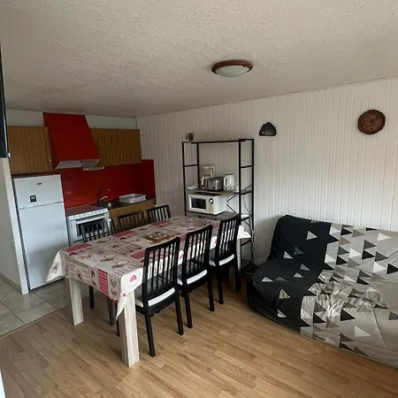 Apartment Au Pied Des Pistes Avec Garage Prive - Fr-1-814-13 Besse-et-Saint-Anastaise