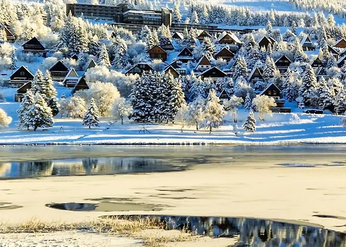 Au Pied Des Pistes Avec Garage Privé - Fr-1-814-13