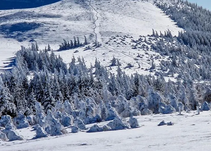 Au Pied Des Pistes Avec Garage Privé - Fr-1-814-13 Appartement Super-Besse